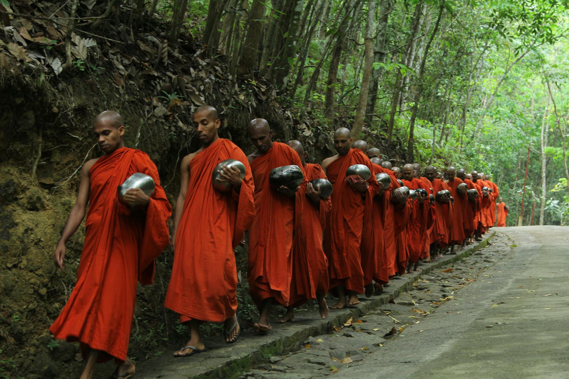 Groupe de moines tibétains en robe orange marchant en forêt, symbolisant la tradition et la spiritualité