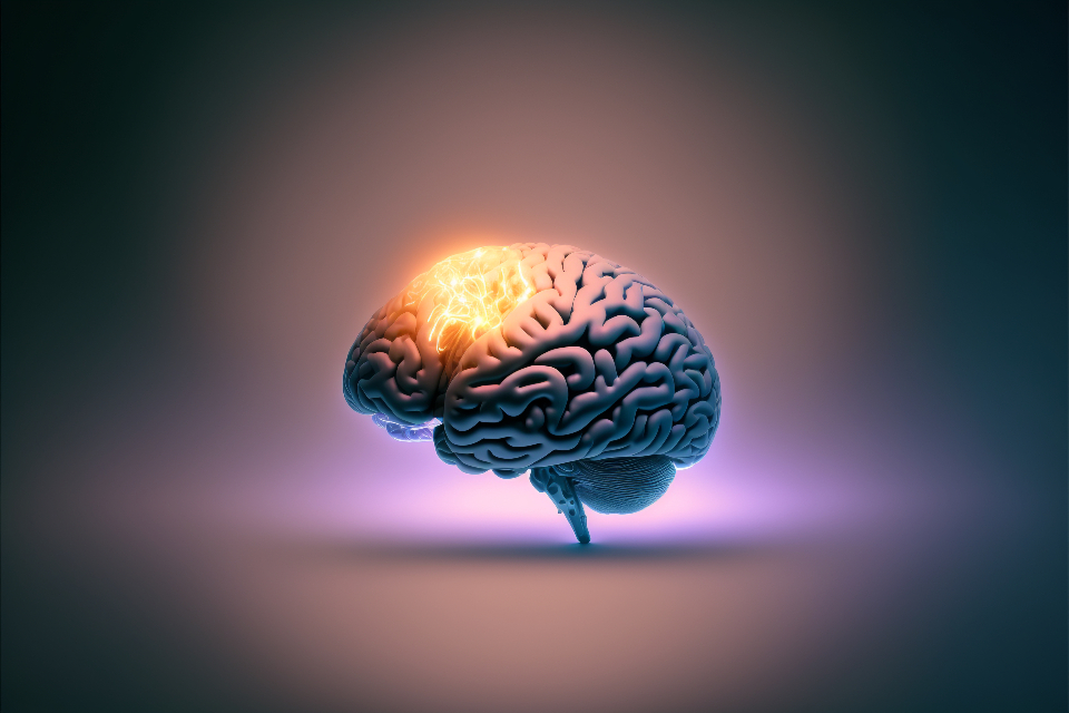 Un cerveau humain qui s'illumine lors de connexions neuronales