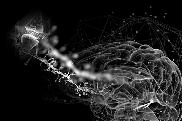 Améliorer la Neuroplasticité : Techniques Avancées et Études&nbsp;Scientifiques